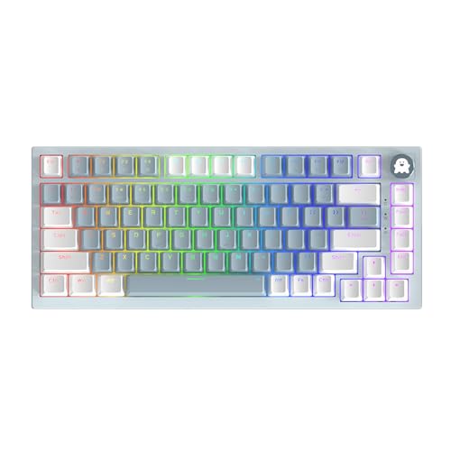 TISHLED 75% Mechanical Gaming Keyboard with Volume Knob RGB Rainbow LED Backlit Gasket Mounted TKL 82-Key NKRO Hot Swappable Blue Swithes Wired USB-C Detachable Cable for Win/Mac, Blue/White