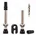 Bike Bits Tubeless Valve Stem - Presta Valve Stem - Aluminum Caps - Remover Tool - Brass (2 Pack) (44mm)