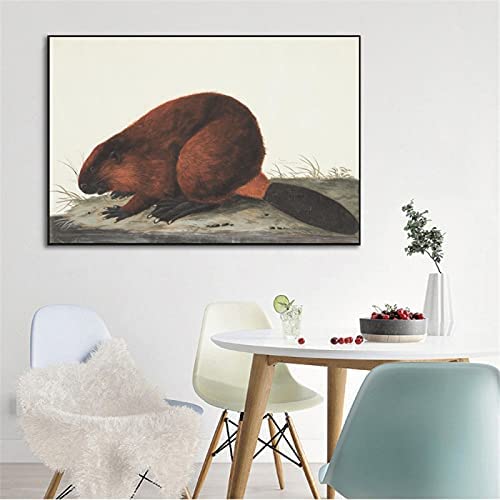 EGUOAC Castor Murale Art Pictures Vintage Animal Toile Tableau Peintures Oeuvres Affiches Et Gravures pour Salon Home Murale Decor Tableaux 50x80cm Pas De Cadre Cover