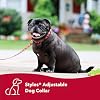 Coastal Pet Styles Adjustable Dog Collar - Stylish Patterned Fabrics - Snap-Lock Buckle - Adjustable Dog Collar - for Small, Medium or Large Dogs - Special Paws - 3/8 x 08-12