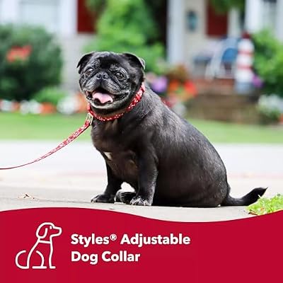 Coastal Pet Styles Adjustable Dog Collar - Stylish Patterned Fabrics - Snap-Lock Buckle - Adjustable Dog Collar - for Small, Medium or Large Dogs - Special Paws - 3/8 x 08-12