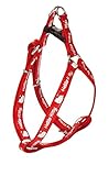 Regulables circunferencia 46 – 75 cm