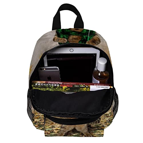 Sac à dos pour garçons et filles léger pour éviter le mal de dos - 5