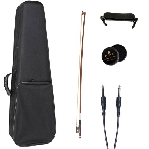 The 29 Best Acoustic Violins of 2024 [Verified] Cherry Picks