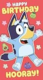 Danilo Promotions Ltd Bluey Birthday Card - Image 1