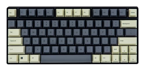 REALFORCE RC1 �L�[�{�[�h �Ή� �L�[�L���b�v �Z�b�g �^�C�v�L�[�ȊO ���� �p��z�� ���ȃ��X ���؈�� PBT C1AUSKCL25