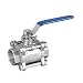Agile-shop 1 PCS DN15 1/2" Female 3 Chip 304 Stainless Steel Straight Ball Valve