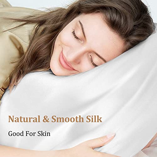 Beevines Silk Pillowcase, Both Sides 100% Mulberry Silk Pillow Case For Hair & Skin, Pure Natural Satin Pillow Cases With Hidden Zipper, Cooling Pillowcases For Queen Size (20"X30", Pearl White) #TOP3