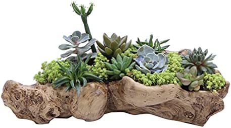 DOITOOL Tree Root Flower Pot Resin Succulents Pots Succulents Flower Pot Driftwood Planter Plant Pot Sculpture Holder Bonsai Pot Plant Container