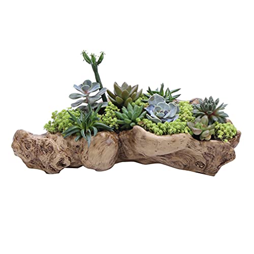 Doitool Tree Root Flower Pot Resin Succulents Pots Succulents Flower Pot Driftwood Planter Plant Pot Sculpture Holder Bonsai Pot Plant Container #TOP17