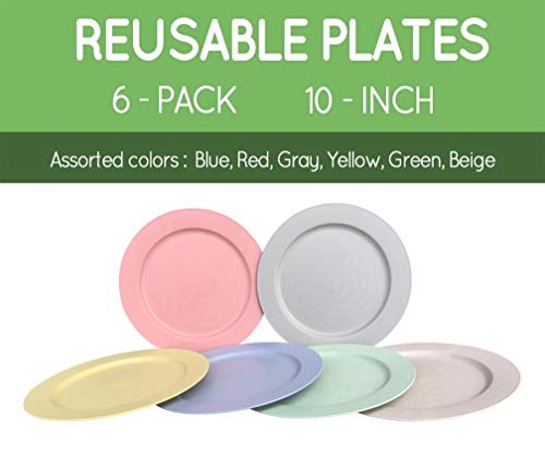 10 Inch Wheat Straw Flat Plastic Plates Set (6 Dinner Plates) - Dishwasher & Microwave Safe - Unbreakable Reusable Lightweight Eco Friendly & Bpa Free Dinnerware - Dishes For Kids Toddlers & Adults #TOP1