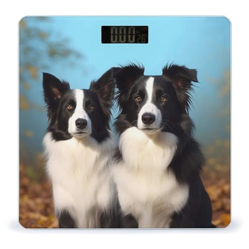 Báscula Digital de Vidrio Templado Border Collie