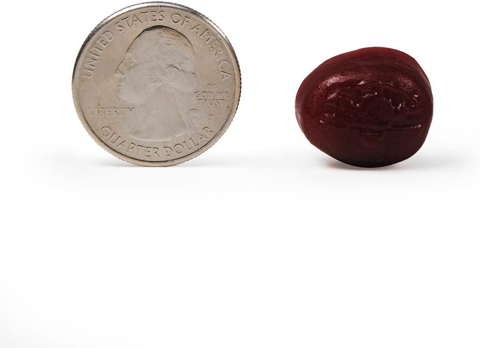 NEURIVA Plus Brain Supplement for Memory, Focus & Concentration + Cognitive Function with Nootropics Phosphatidylserine and Neurofactor, VIT B6 & B12, Strawberry Flavor, 50 Gummies (2 Pack)