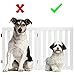 COSTWAY Absperrgitter Hunde 60cm Hoch, Schutzgitter Holz, Kindergitter klappbar, Treppengitter Hundeabsperrgitter flexibel Türschutzgitter (2 Paneelen, Weiß)