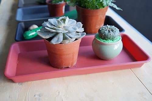 VUWEZ 2 Pack Rectangular Plant Tray Saucer 17-18 Inch, Indoor/Outdoor Water Drip Tray for Flower Planter, Windowsill (7.8 X 17.5'', Terracotta) - 3