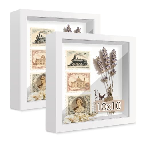 Picrit 10x10 White Wooden Shadow Box Frame, Tempered Glass, 2 Pack