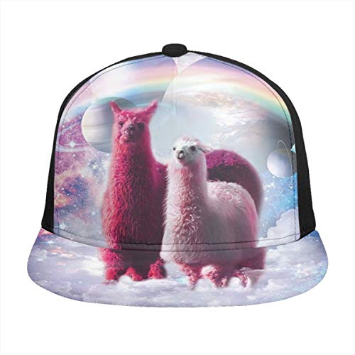 Preisvergleich Produktbild FONDSILVER Space Lama, Regenbogenpflanzen, Herren, Damen, Erwachsene, Snapbacks Dad Hat Trucker Hüte, verstellbare bedruckte Baseballkappe