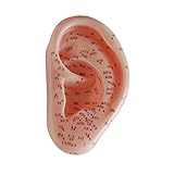 66FIT Acupuncture Ear Modelo, Unisex, Carne, 13 cm