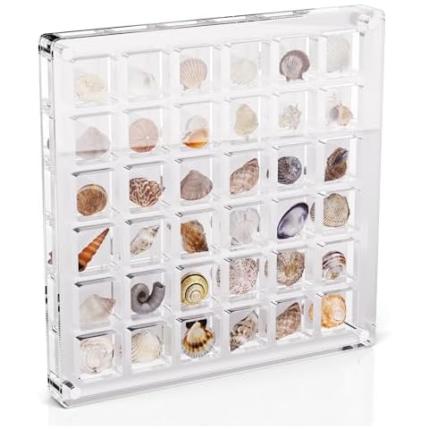 MaybeRain Acrylic Seashell Display Box, 36 Grids Shell Display Box, Clear Acrylic Seashell Display Box, Tiny Treasure Hunting Seashell Display（36 Grids Cover