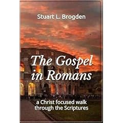 The Gospel in Romans Audiolibro Por Stuart Brogden arte de portada