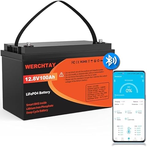 12V 100Ah LiFePO4 Lithium Battery with Bluetooth, 1280wh, Max. 15000 Deep Cycle, Low Temperature Protection, For Home Energy, RV, Solar System, Marine, Off Grid Applications, Trolling Motor, Boat Cover