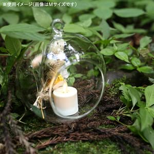 Amazon.co.jp: ハンギンググラスボールM SJ2080010 : ホーム＆キッチン