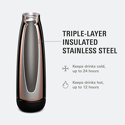 Avana Ashbury Stainless Steel Double-Wall Insulated Water Bottle, 18-Ounce, Sage