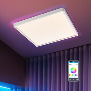 Warmiehomy RGB LED Ceiling Light Dimmable, Smart Light with Bluetooth Speaker,APP Control,24W,Flush Ceiling Lamp for Living Room,Bedroom,3000-6000K,Square,30CM