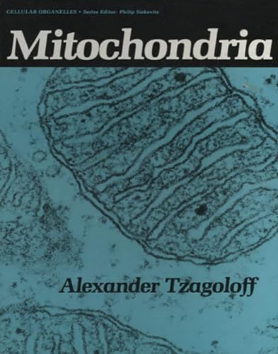 Mitochondria view 2