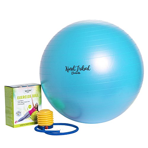 KindTribal Elements Exercise Ball 65 cm Stability Ball Balance Ball, Yoga Ball, & Birthing Ball | Anti Burst & Non Slip | Includes Pump for Varied Size |Use for Home Gym Exercise Ball Chairs Office