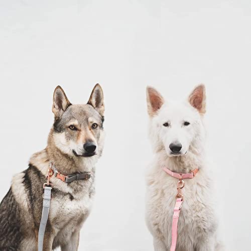 Weich Leder Hundehalsband und Leine (2m) Set - 3-Fach Verstellbar Hundeleine mit Halsband, Stilvollen Rose Gold Metall Schnalle & Nylon Hund Leinen für Welpen Kleine Mittlere Große Hunde Rosa,M