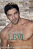 Luring Levi: Bad Boys of Sweetwater - Small Town Romance (Tarnished Saints Series Book 2)