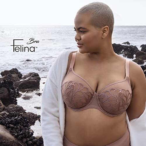 Lotus Embroidered Unlined Bra Black / 34Ddd #TOP2
