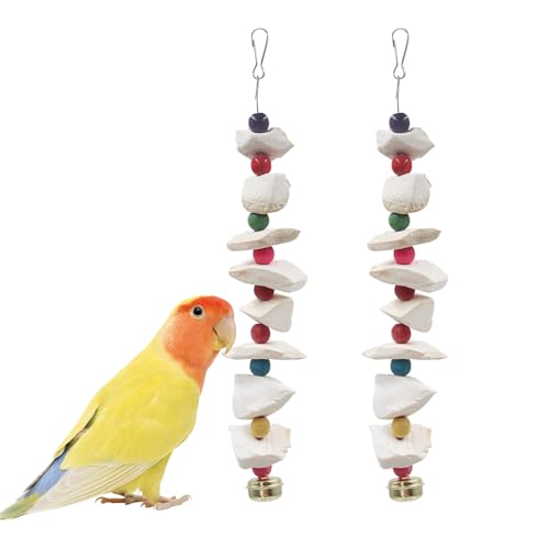 2 Pack Bird Toys with Cuttlebone, Parakeet Toys, Bird Beak