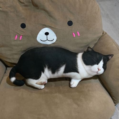 猫 リアル ぬいぐるみ 白黒」の人気商品一覧・価格比較 - 価格.com