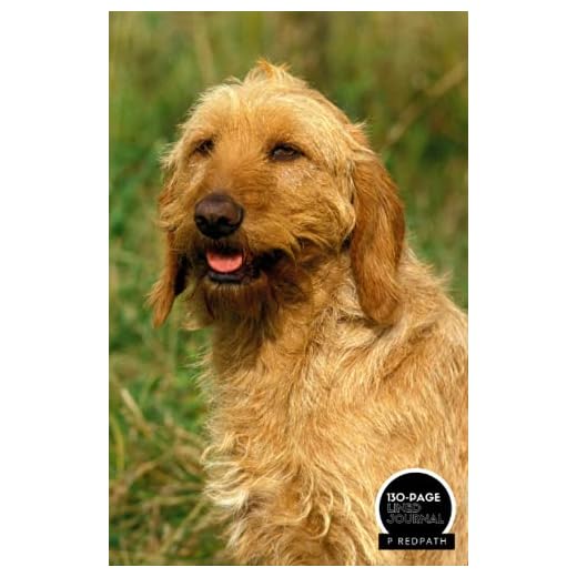 GRIFFON FAUVE DE BRETAGNE: A LINED NOTEBOOK & JOURNAL: An Awesome Griffon Fauve De Bretagne Notebook With Lined Interior - Great Gift For Dog Lovers