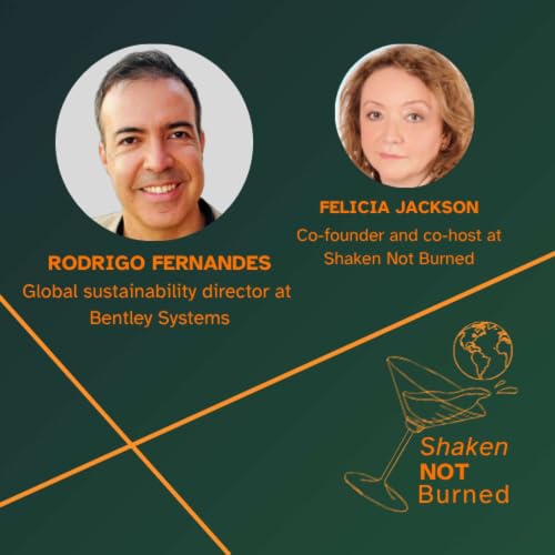 What makes a city work, with Bentley Systems