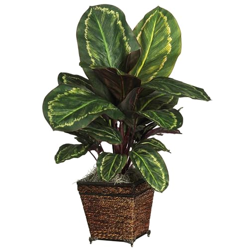 Nearly Natural Maranta with Basket Silk Plant