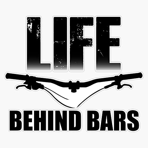 Vision Signs Life Behind Bars Sticker