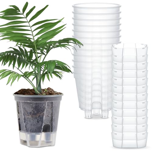 Wonderjune Self Watering Planter, 4.72'', Clear, 12 Pcs