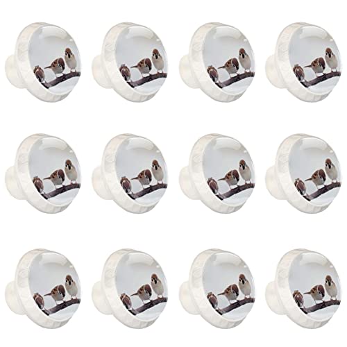 Boutons de tiroir oiseau lot de 12 poignées commode robustes