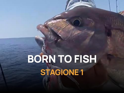  Born to Fish