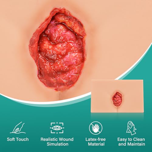 Image of Decubitus Ulcer Care Model, Bedsores Model, Pressure Injury Model for Medical Training Practice, Stage 3