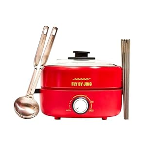 FLYBYJING Hot Pot Set | Electic Cooking Pot Complete with Temperature Control, 4 Silver Chopsticks & 2 Slotted Spoons | Make Delicious Sichuan Hot Pot at Home | Perfect for Dinner Parties