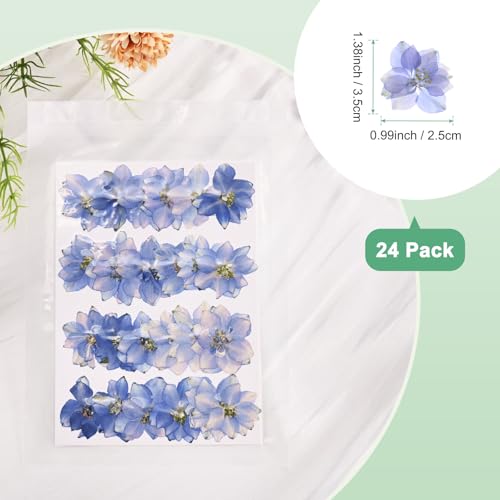 24-Pack Flores Secas Prensadas para Manualidades miniatura 3