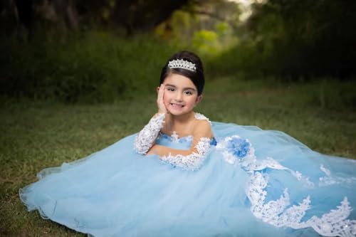 Light Blue Flower Girl Dress for Wedding Applique Long Sleeves Kids Prom Ball Gowns for Birthday Party4