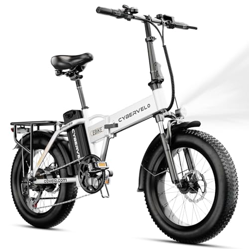 Aoango 750W Folding Electric Bike, 48V 20.8AH Large Removable Battery