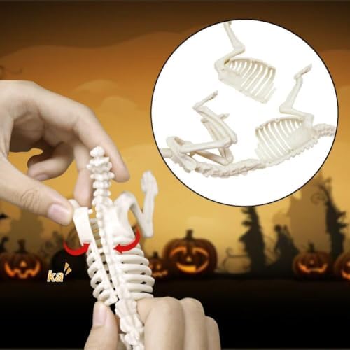41oGFTS2SgL._AC_ CAMIRUS 6 x Halloween-Skelette, realistisches Tierskelett