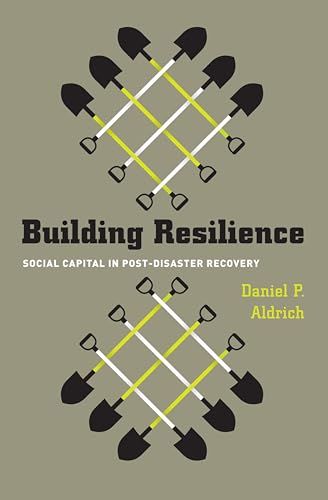 Building Resilience: Social Capital in Post-Disaster Recovery