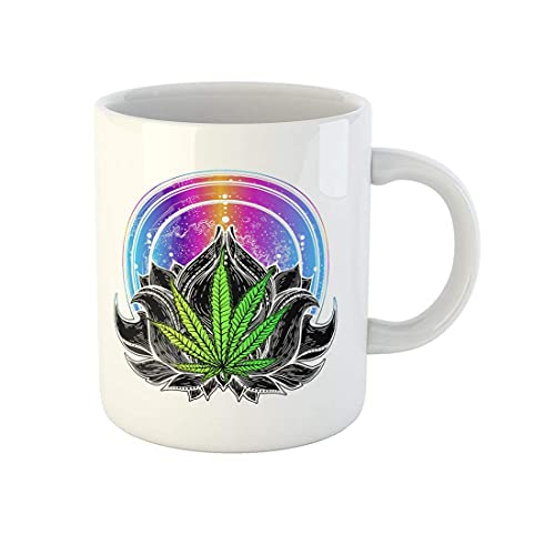 Tee Aus Cannabisblättern Die 16 besten Produkte im Vergleich & Angebote aktualisiert Juni 2023